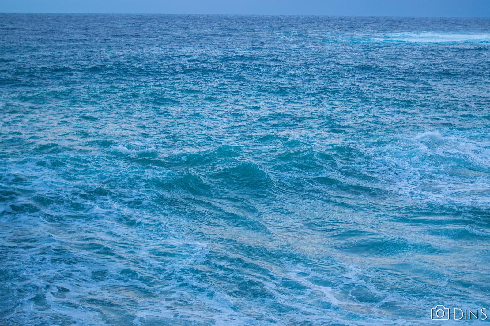 DSC02121