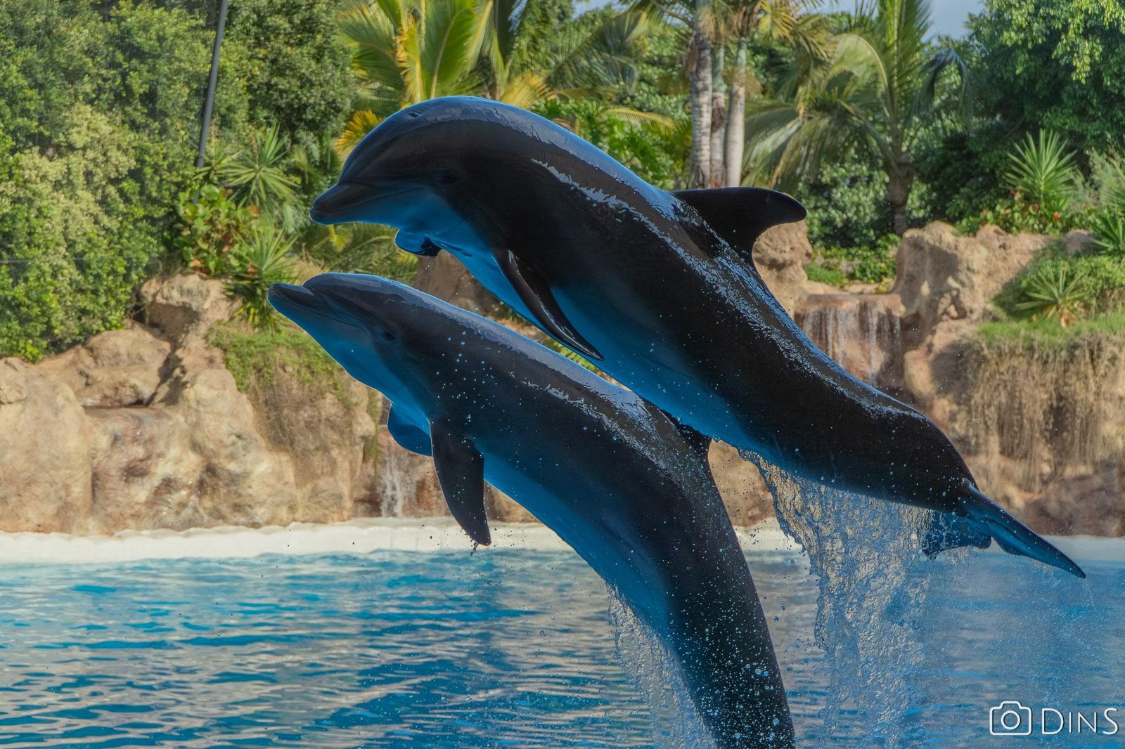 DSC02511