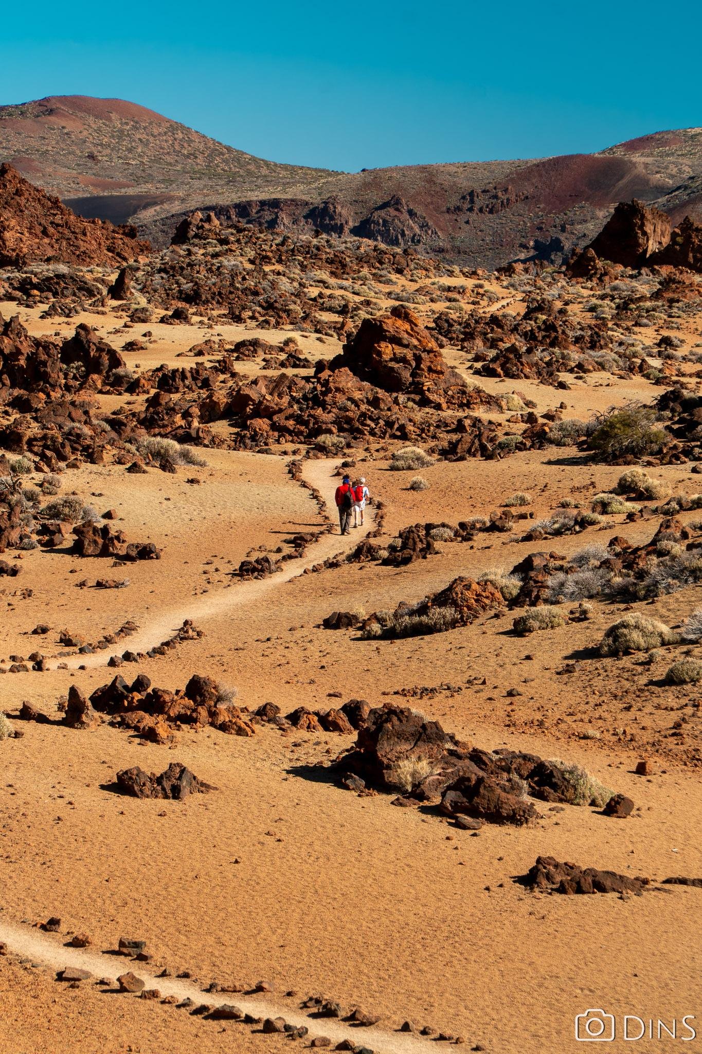 tenerife trip (115)