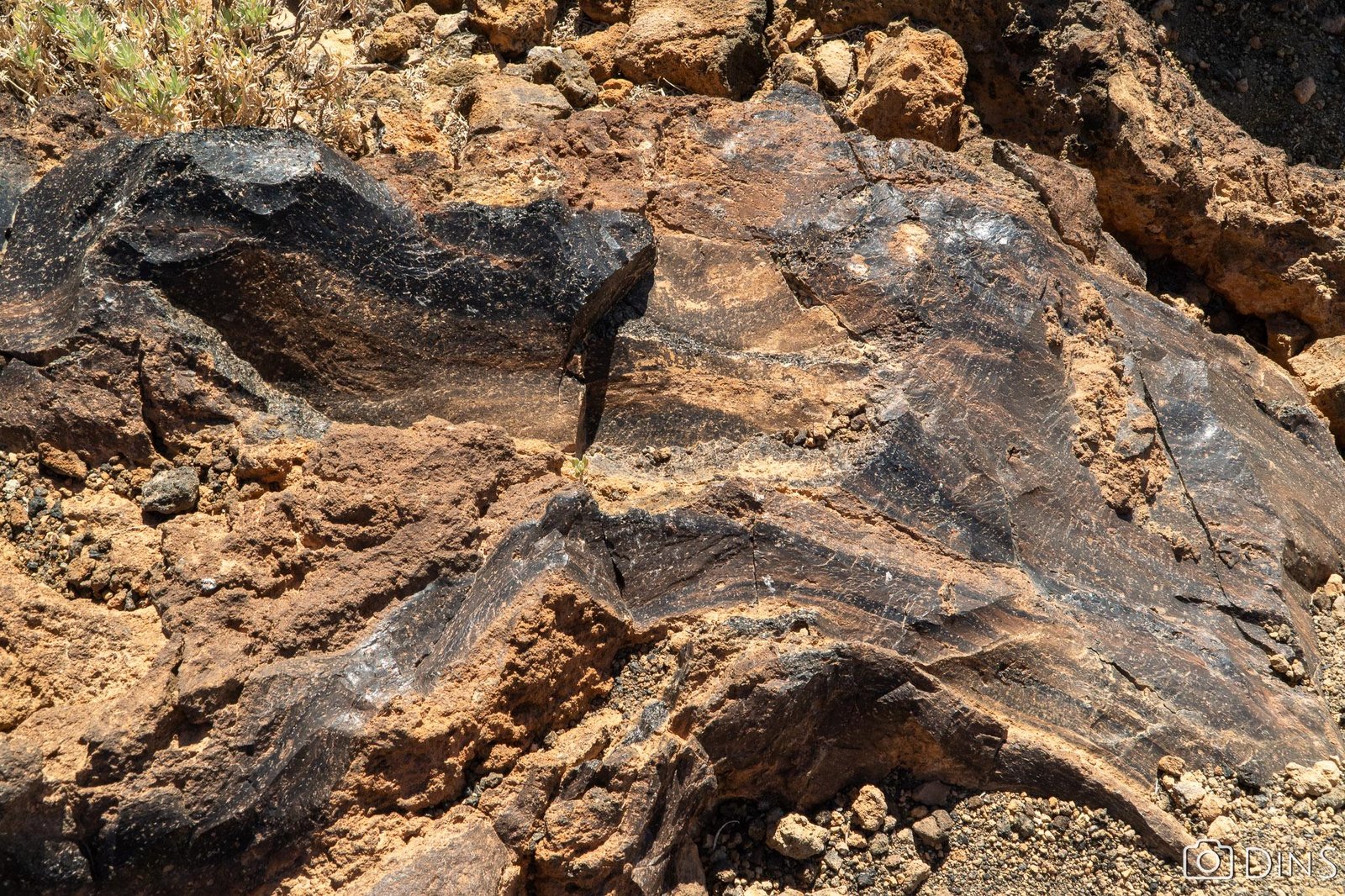 tenerife trip (137)