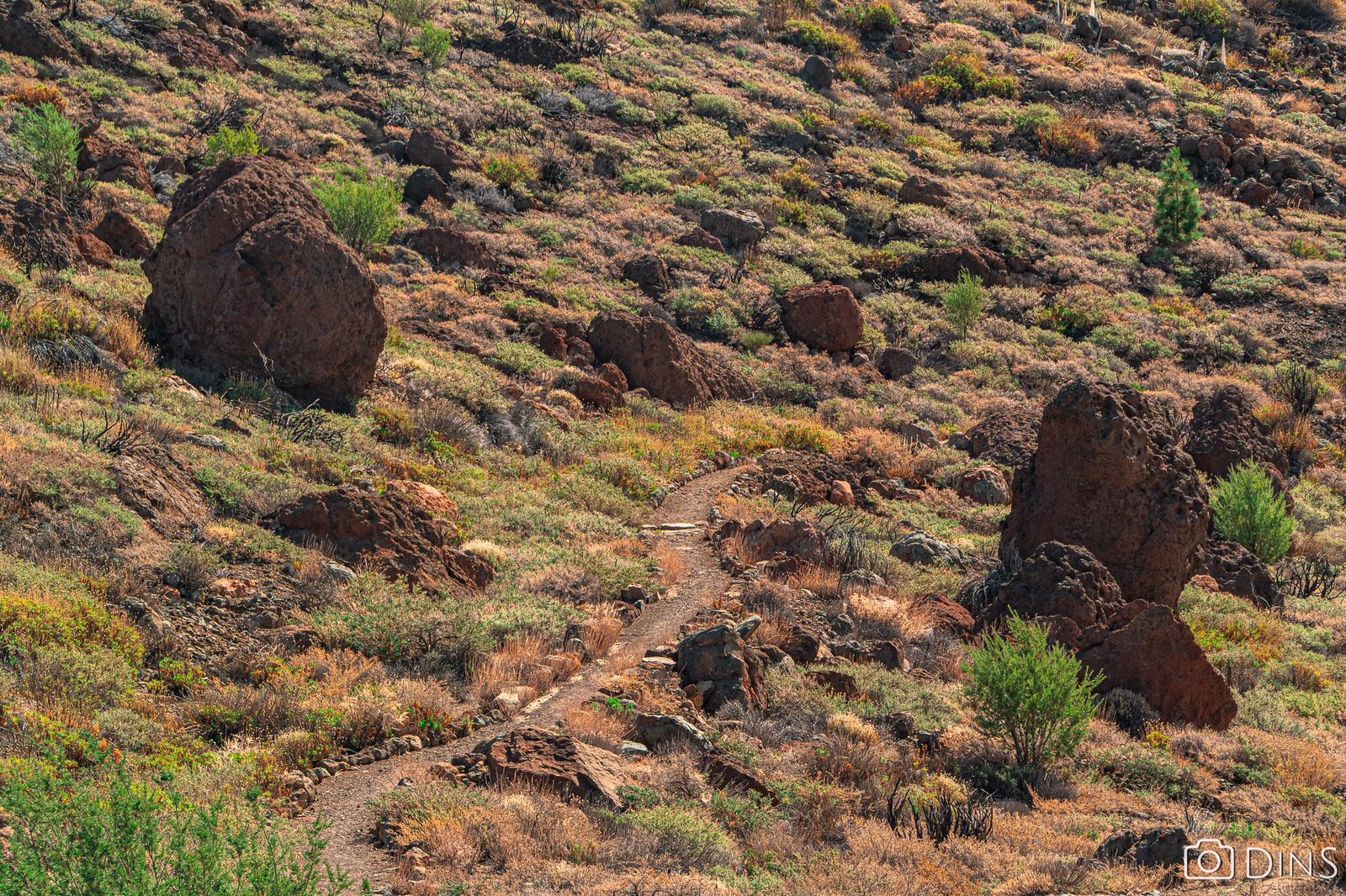tenerife trip (159)
