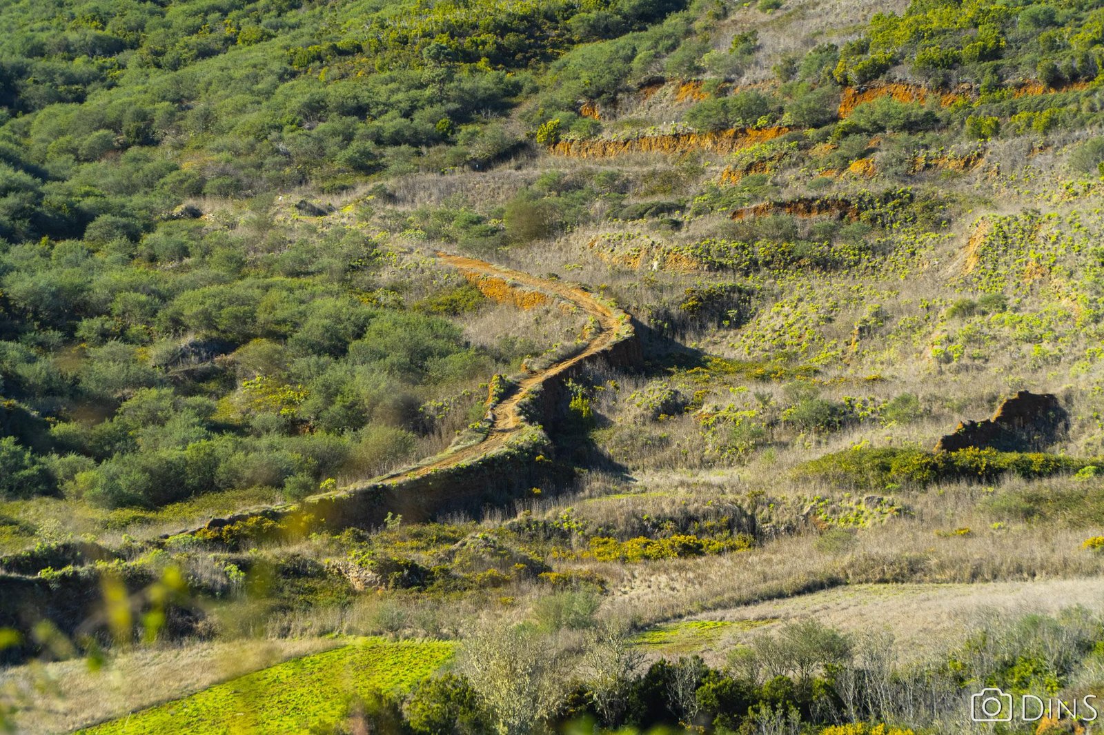 tenerife trip (168)