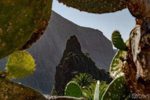 tenerife trip (215)
