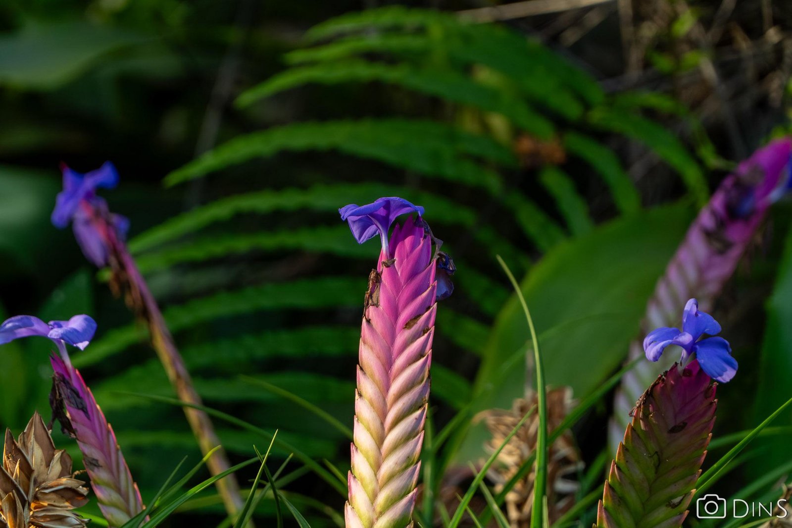 tenerife trip (262)