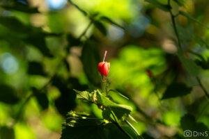 tenerife trip (272)