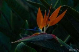 tenerife trip (288)