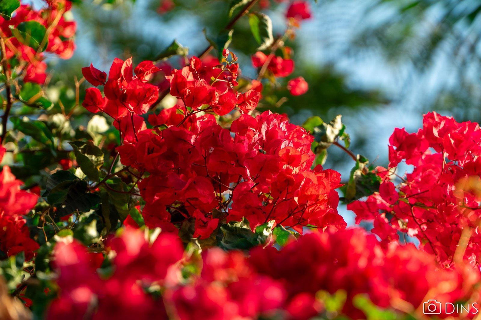 tenerife trip (293)