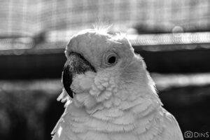 tenerife trip (329)