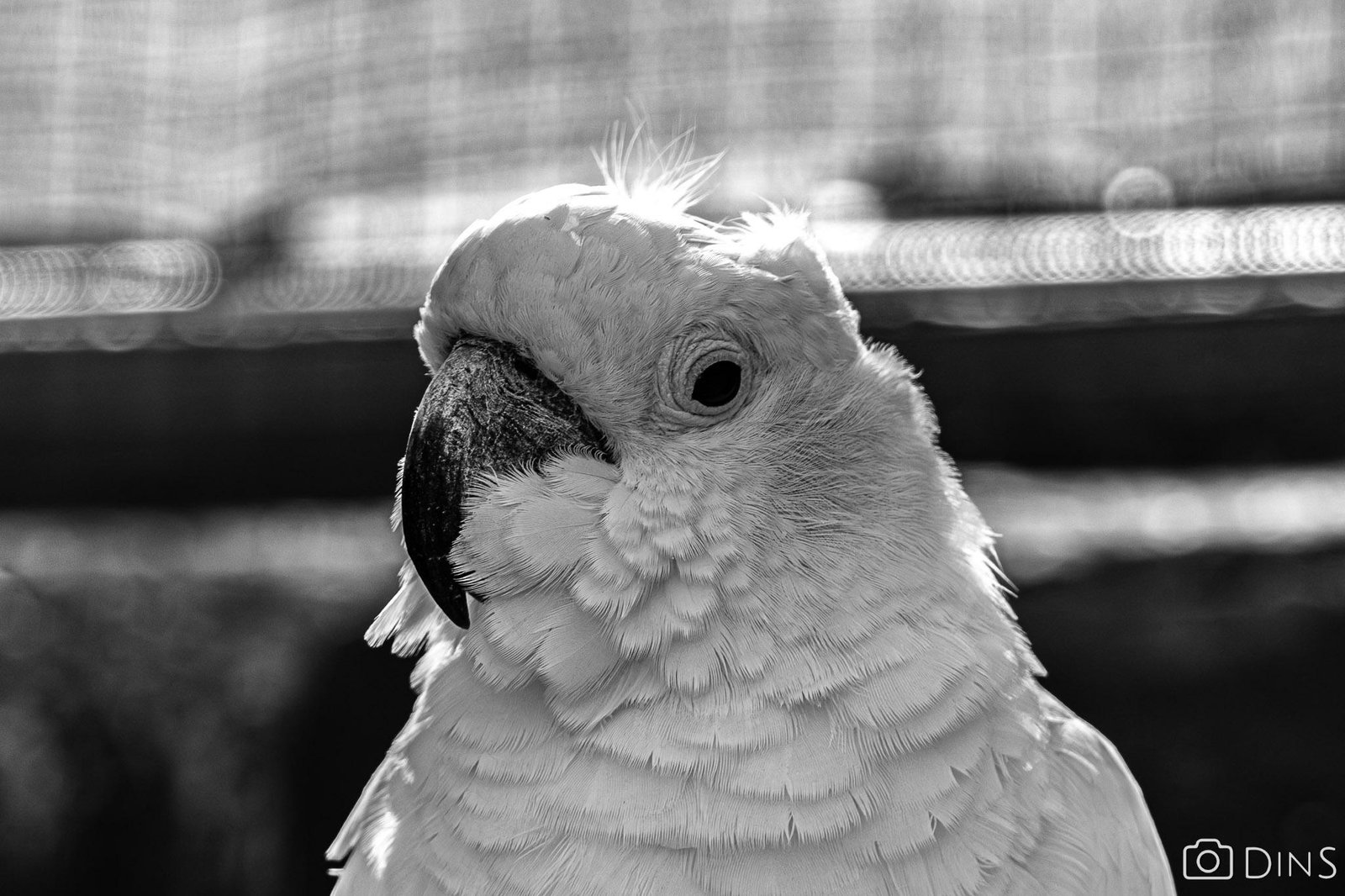tenerife trip (329)