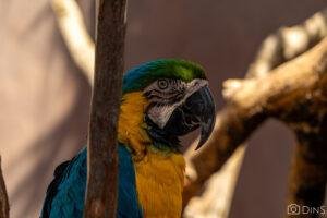 tenerife trip (331)