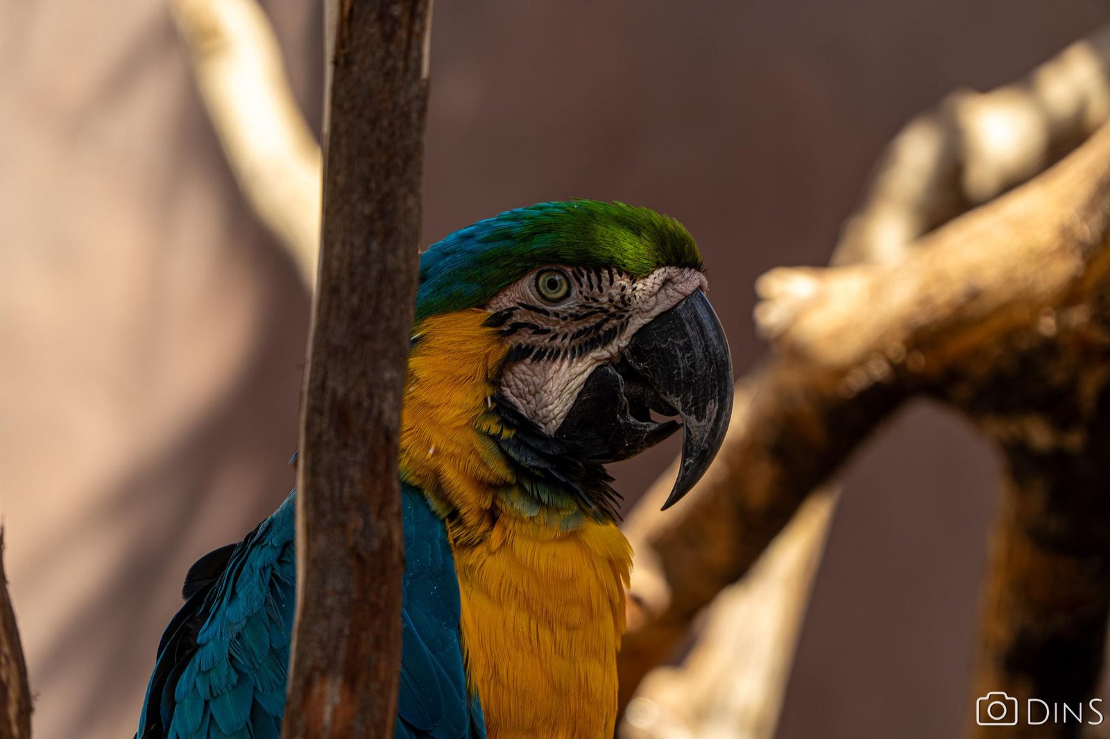 tenerife trip (331)