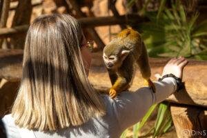 tenerife trip (340)