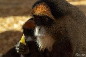 tenerife trip (355)