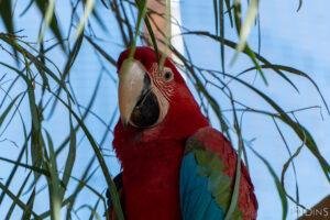 tenerife trip (373)