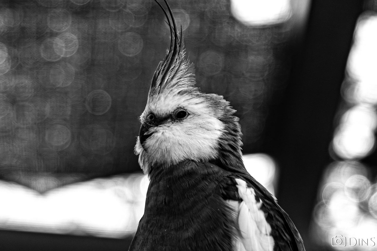 tenerife trip (384)