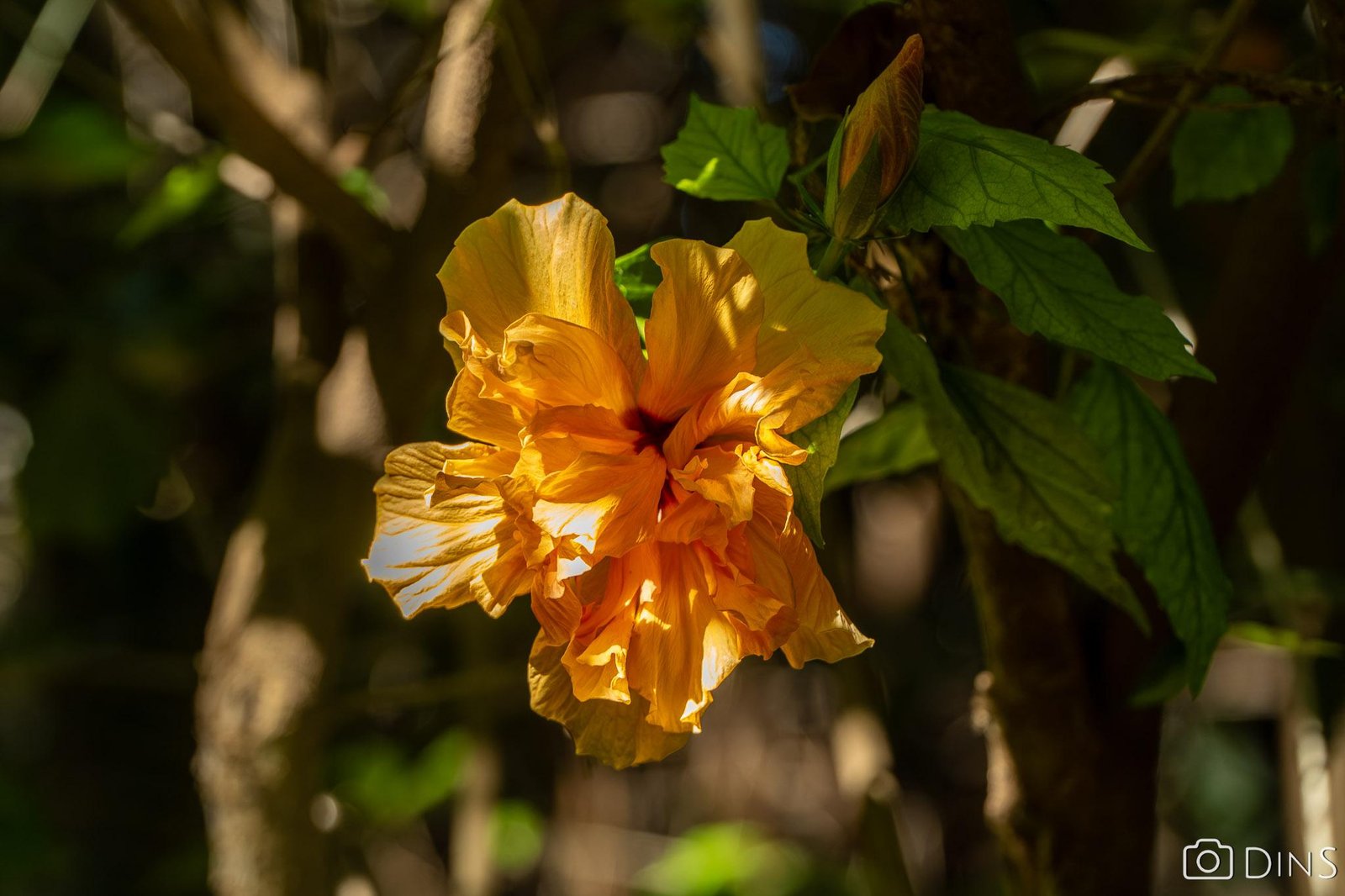 tenerife trip (396)