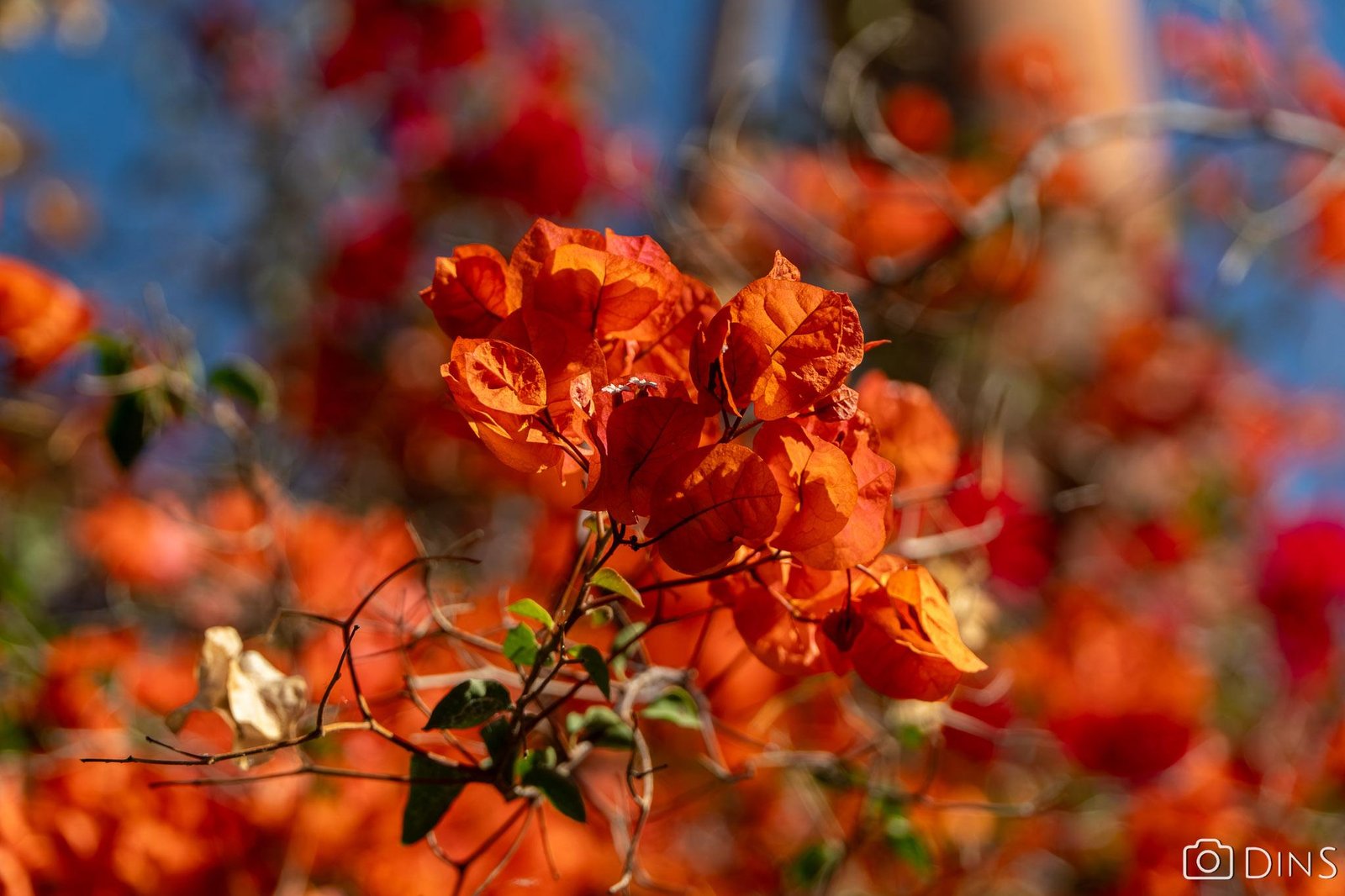 tenerife trip (398)