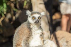 tenerife trip (406)