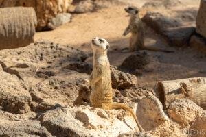 tenerife trip (407)