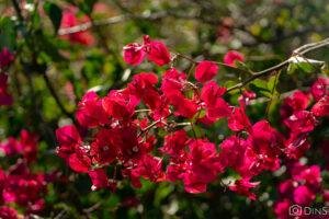 tenerife trip (414)
