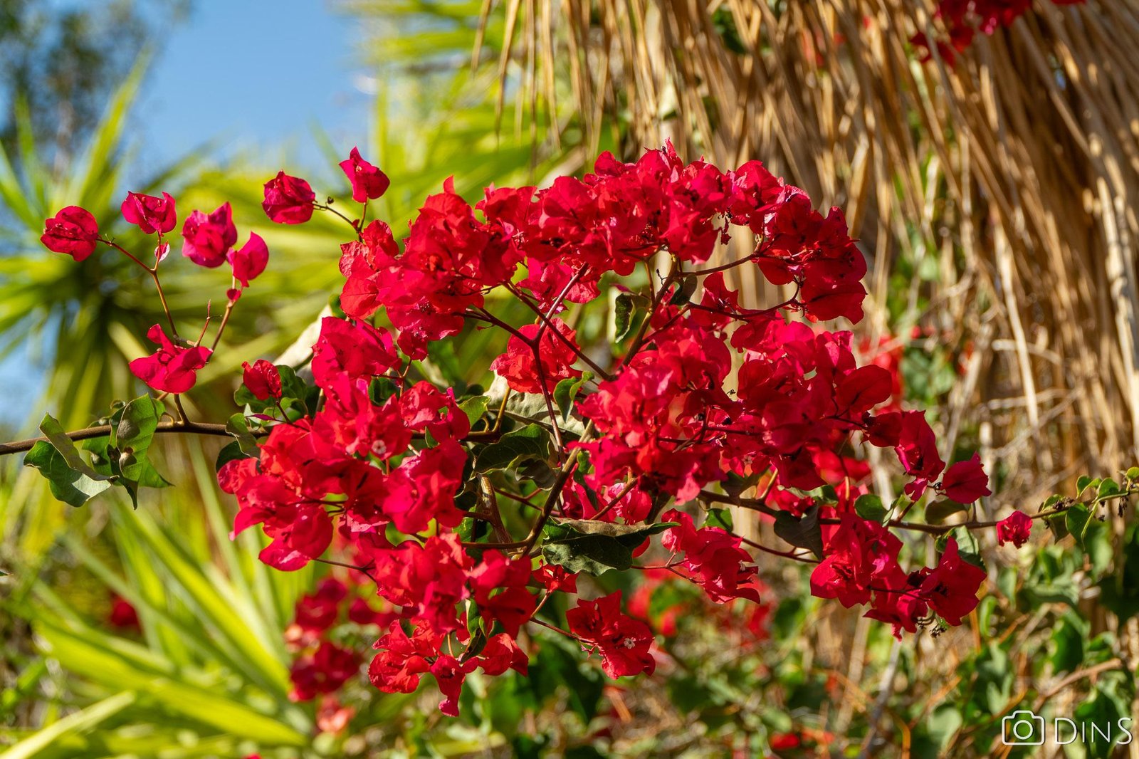 tenerife trip (415)