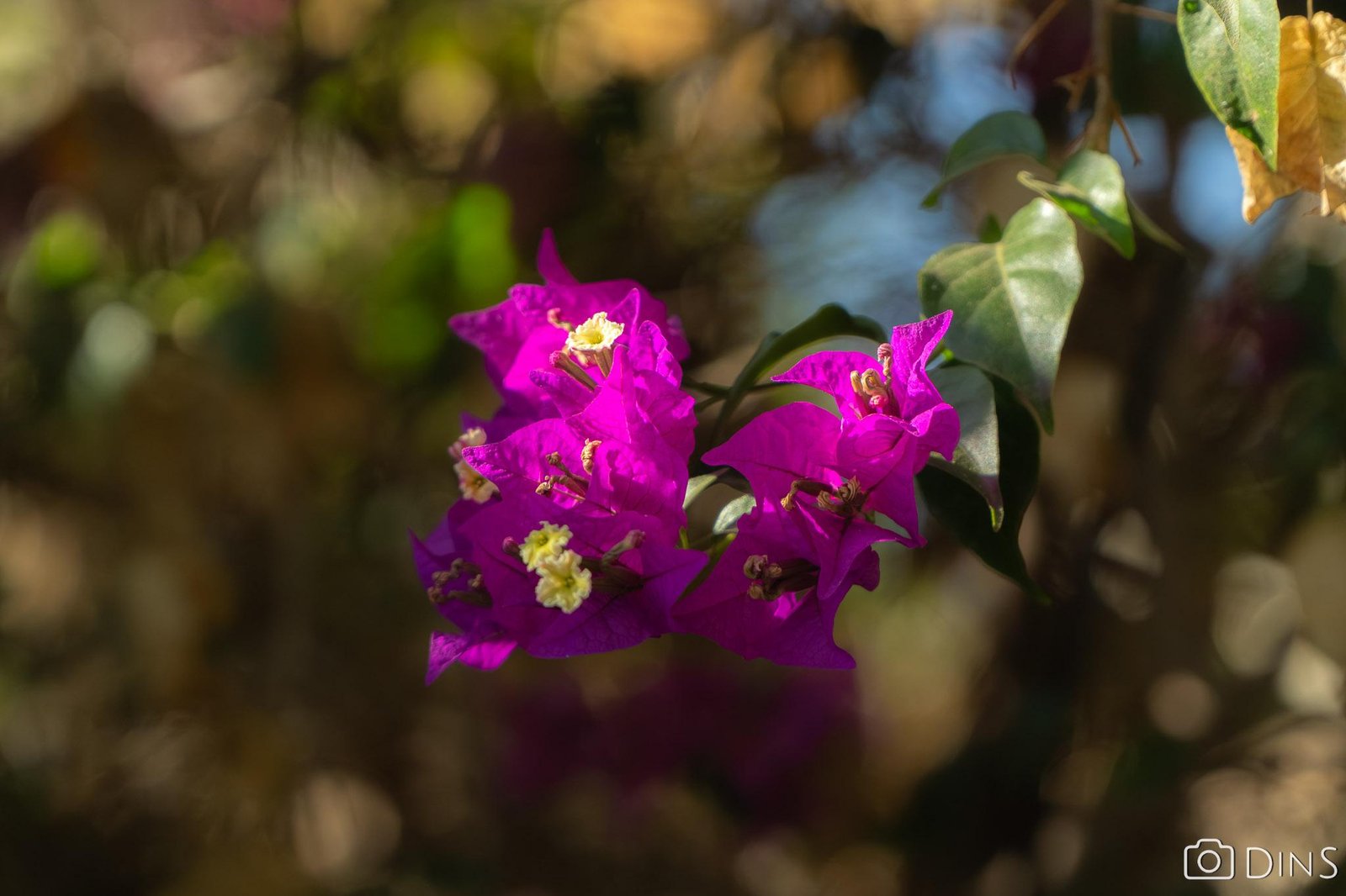 tenerife trip (416)
