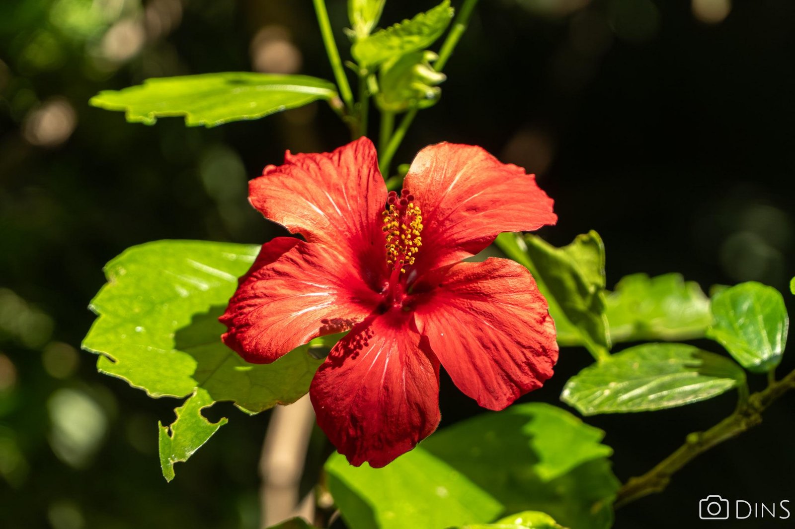 tenerife trip (429)