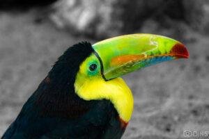 tenerife trip (431)
