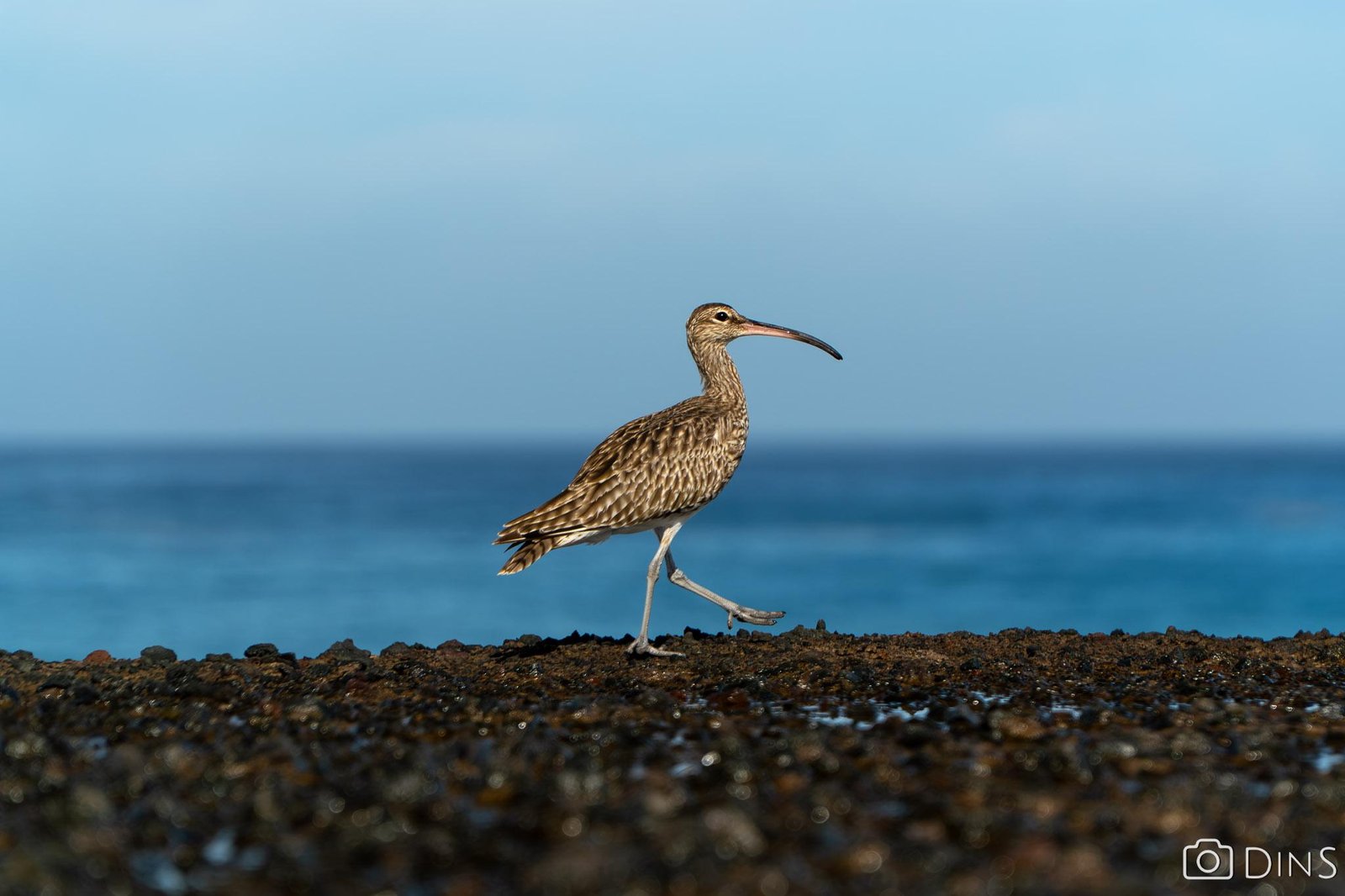 tenerife trip (446)