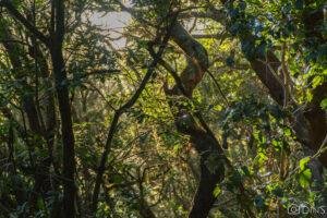 tenerife trip (460)