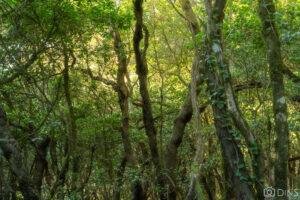 tenerife trip (467)