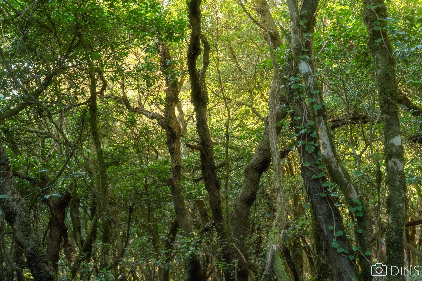 tenerife trip (467)