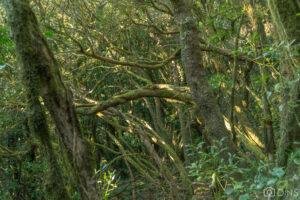 tenerife trip (469)