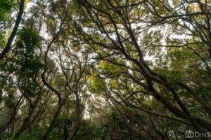 tenerife trip (482)