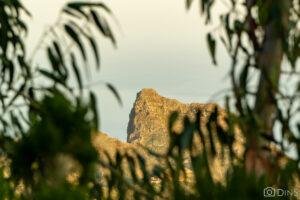 tenerife trip (488)