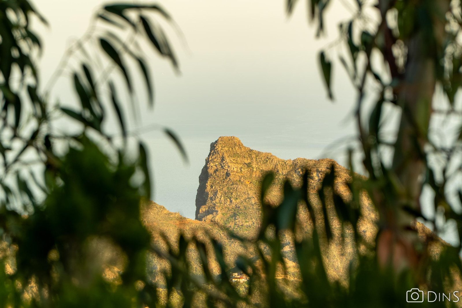 tenerife trip (488)