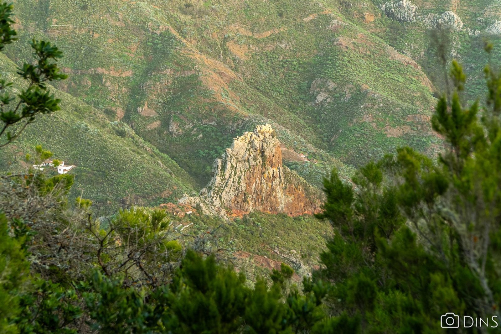 tenerife trip (490)