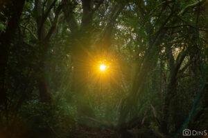 tenerife trip (494)