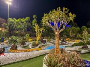 tenerife trip (98)