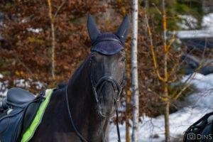 DSC08517